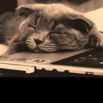 @daryl_newmann - Instagram