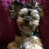 Daryl Oakes - @daryloakes0 - TikTok
