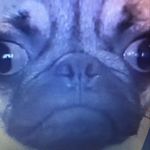 Daryl - @darylpalmer08 - Instagram
