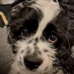 Daryl Palmer - @drnotrux - Instagram