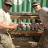 Daryl Reed - @daryl.reed5 - TikTok