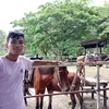 Daryle Sales - @daryle.sales - TikTok