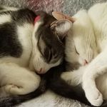 Daryl Sanborn - @sanborndaryl - Instagram