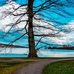 Daryl Satterfield - Facebook