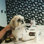 daryl schiffeldrin - @darylschiffel - Instagram