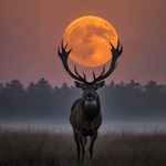 Daryl Sears - @dsears1151 - Instagram