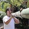 Daryl Serrano - @lyradaryl - TikTok