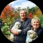 Daryl - @darylshankland1 - Instagram
