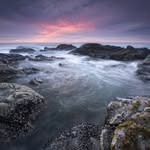 Daryl Shaw - @darroldshawn - Instagram