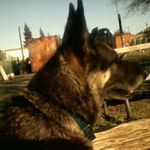 Darryl Shoemaker - @darrylshoemaker - Instagram