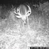 darylshoemaker678 - @darylshoemaker678 - TikTok