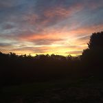 Daryl Showalter - @chiseledstew - Instagram