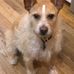 Daryl Simmons - Facebook