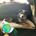 Darrell Smithson - Facebook
