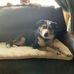 Darrell Smithson - Facebook