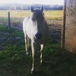 Daryl Spaulding - @spauldinggenoa - Instagram