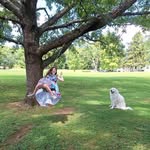 Darryl Stamp - @darryl.stamp - Instagram