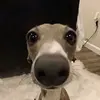 daryl stanley - @daryl.stanley - TikTok