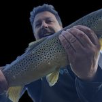 Darryl Steele - @darrality - Instagram