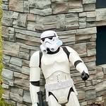 Daryl - @daryl_thestormtrooper - Instagram
