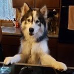 Daryl Storm - Facebook