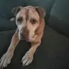 daryl thomas - @daryl.thomas2 - TikTok