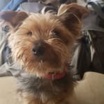 Daryl Thomas Hinks - @darylthomashinks - Instagram
