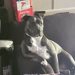 Daryl Walker - @darylwalker6154 - Instagram