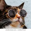 lioneldaryl_welch150 - @lioneldaryl_welch - TikTok