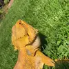 darylwithers1234 - @darylwithers1234 - TikTok