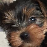 Daryll Smith - @darrylsmith80 - Instagram