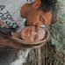 Dasean Johnson - Facebook