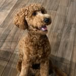 Dash Bean - @dash_bean24 - Instagram