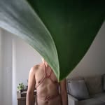 Dash - @dashbean - Instagram