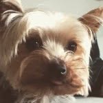 Dash Moore - @dashtheboss - Instagram