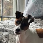 Dash - @mooredashjrt - Instagram