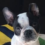 Dash - @dash_parra - Instagram
