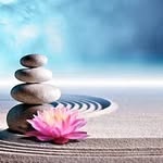 Darshana Shah - @im_dashshah - Instagram