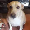 Dasha Arias658 - @dashaarias658 - TikTok
