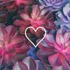 Dasha - @dasha.cross - TikTok