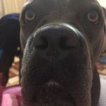 Dasha_Gray - @dasha_gray - Instagram