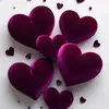 Dasha Lopez - @dasha.lopez646 - TikTok