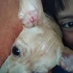 Dasha Lopez - Facebook