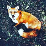 dasha - @dasha.mason - Instagram