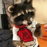Dasha_masonova29534 - @ninamasonova29534 - Instagram