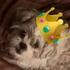 dashawnford0 - @rxgerfn - TikTok