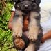 Dashun Gamage - Facebook