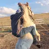 Dashawn Gray379 - @dashawngray4 - TikTok