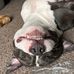 Dashawn Hamilton - Facebook
