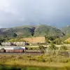 dashawnhill88 - @dashawnhill88 - TikTok